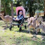 Bindi and Terri Irwin Say the Australia Zoo Animals Run to See Baby Grace: ‘Steve All Over’