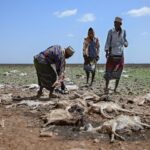 13 million face hunger as Horn of Africa drought worsens: UN