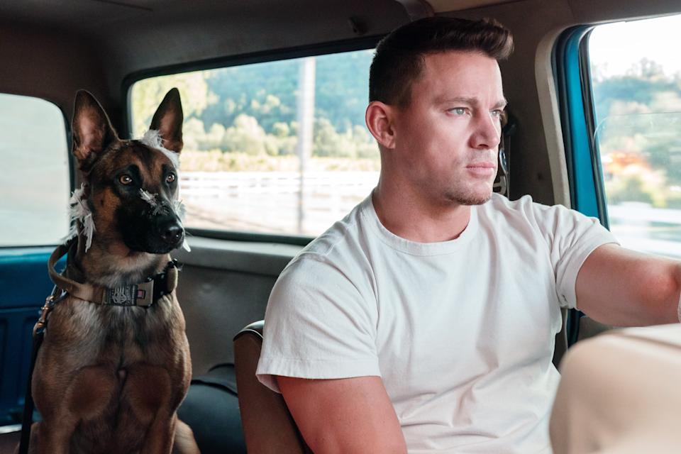 Channing Tatum reveals how his last road trip with his dying dog inspired his directorial debut ‘Dog’