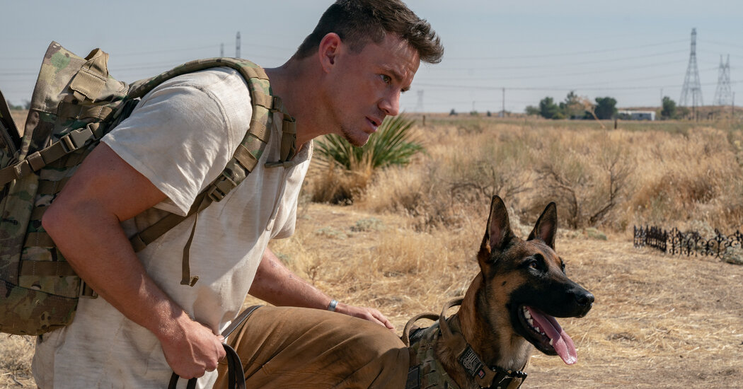 ‘Dog’ Review: Man and Beast Hit the Road