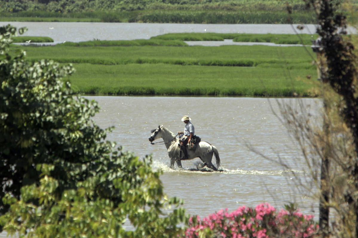 EU slams plan to expand water use near Spain’s Doñana park