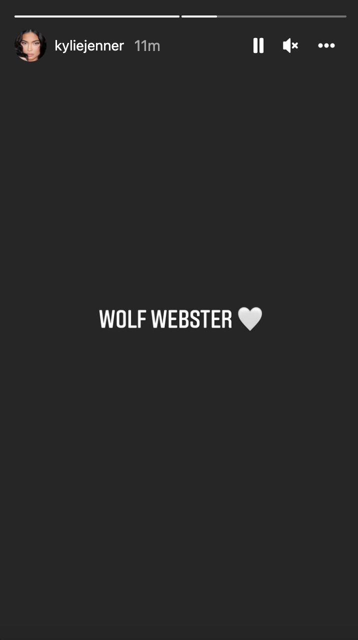 Kylie Jenner and Travis Scott name son Wolf Webster