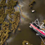 On the Cajun Coast, a Chef Grapples With Threats to a Seafood Tradition