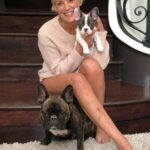 Sharon Stone Announces Death of Dog Joe ‘Biggy’ Stone: ‘It’s a Process’