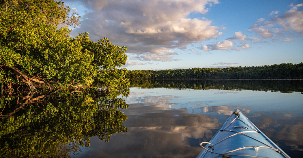 Six Days Afloat in the Everglades