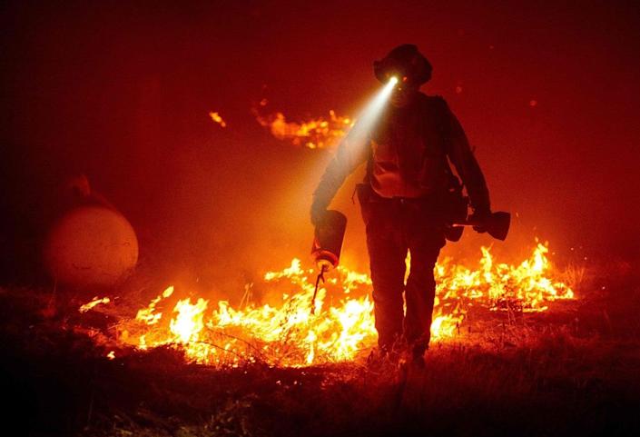 Wildfire incidence to increase by 50 percent by 2100: UN study