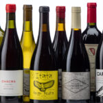 12 Wines From South America to Drink Now 