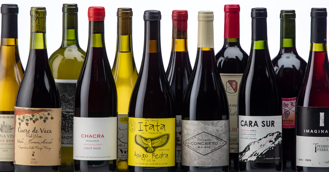 12 Wines From South America to Drink Now 