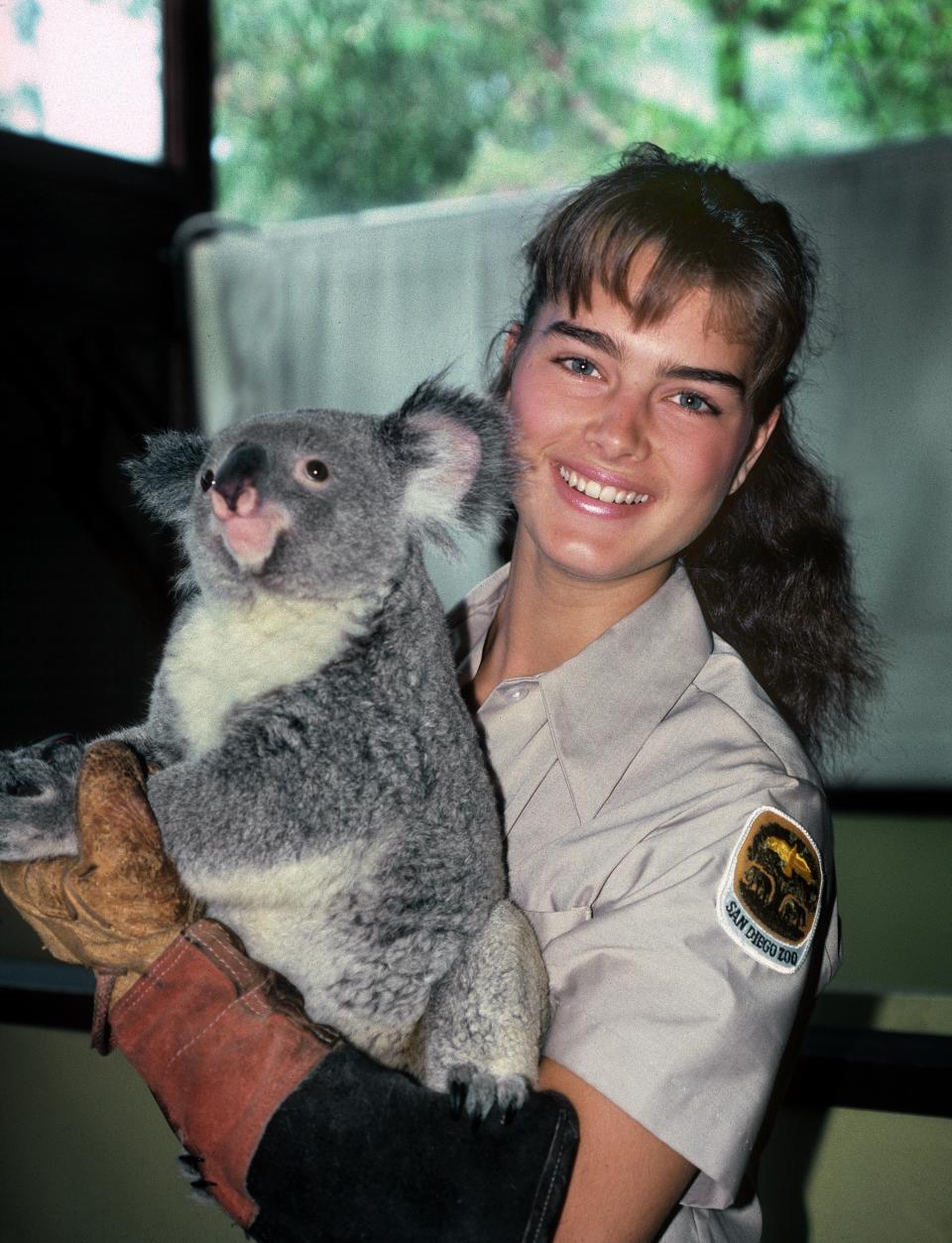 Brooke Shields shared her late friend Michael Jackson’s love of chimps, which she discovered as a teenage intern at the zoo