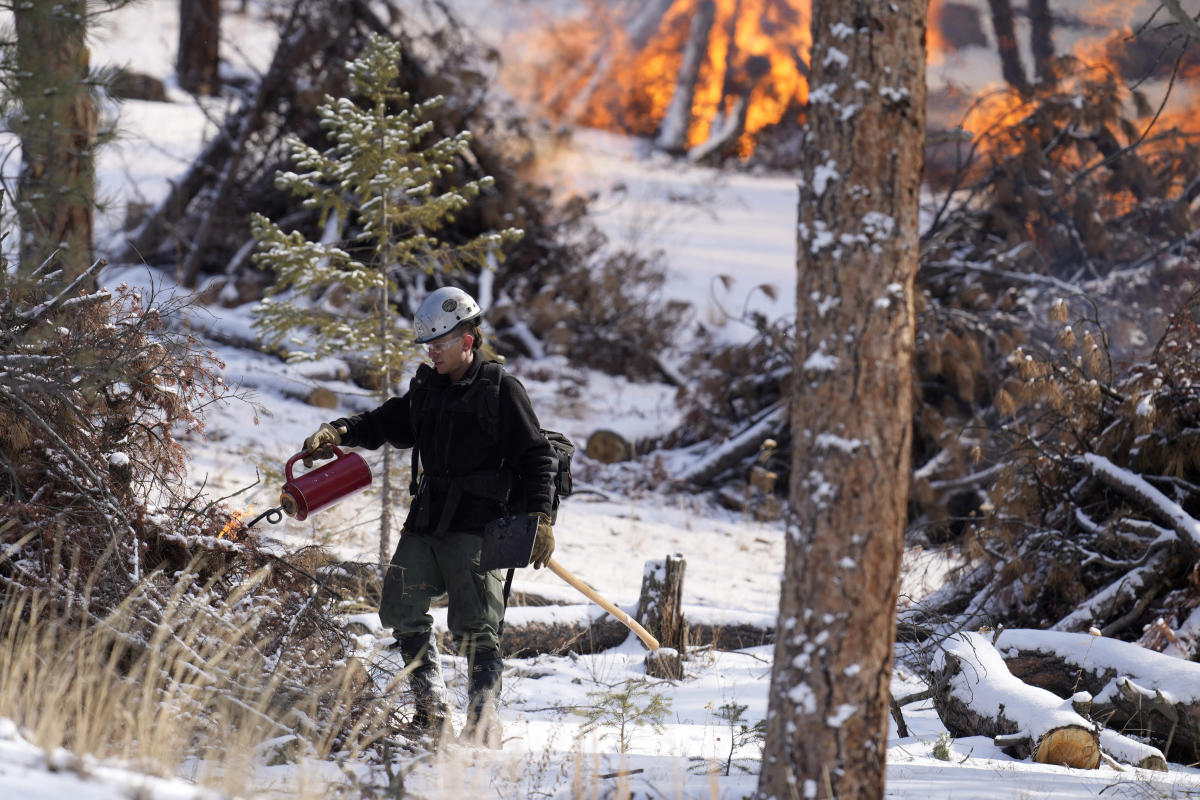 Changing snowfall makes it harder to fight fire with fire