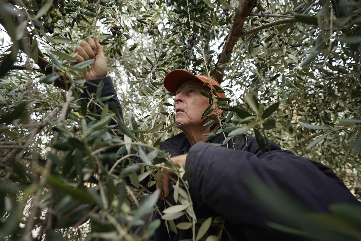 Climate change is like war, California’s Jerry Brown says