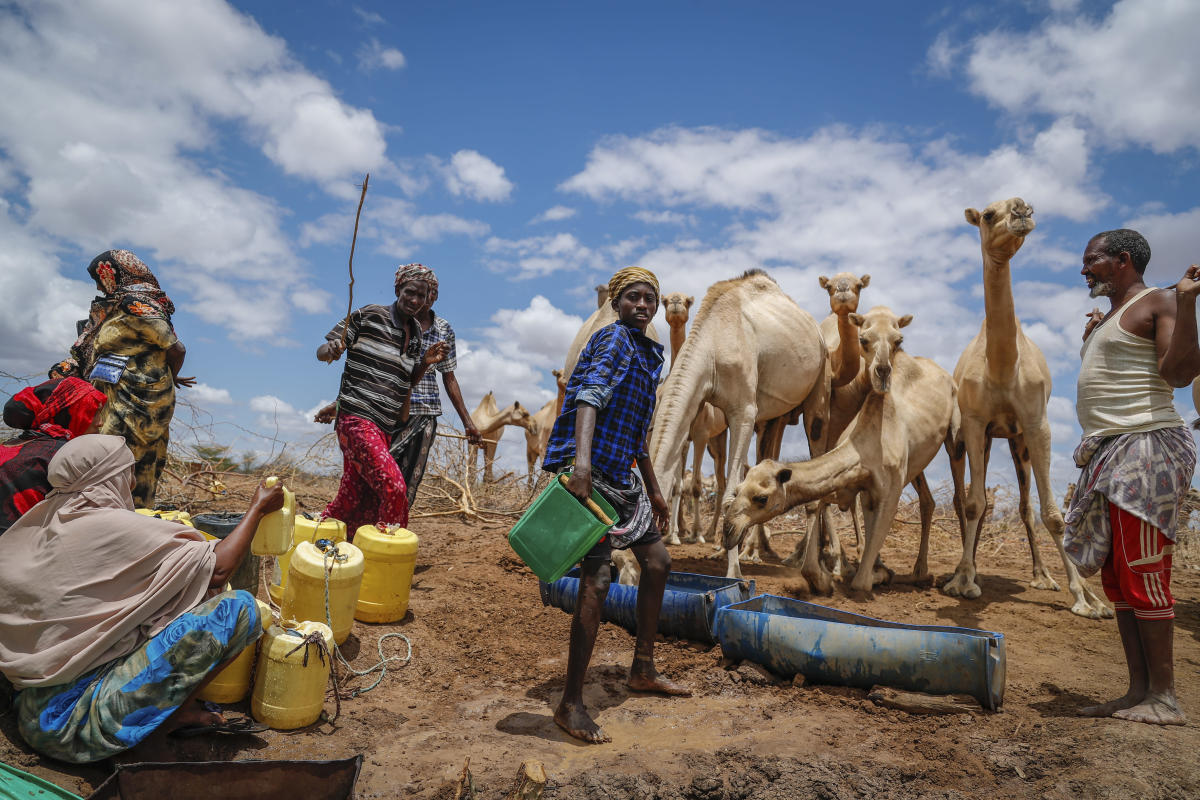 East Africa’s hunger crisis needs global action, says Oxfam