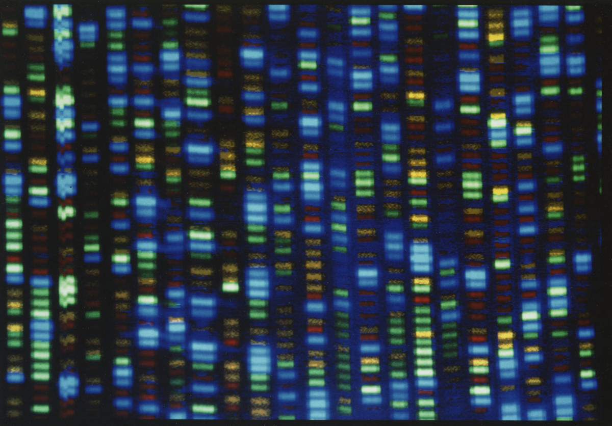 Scientists finally finish decoding entire human genome