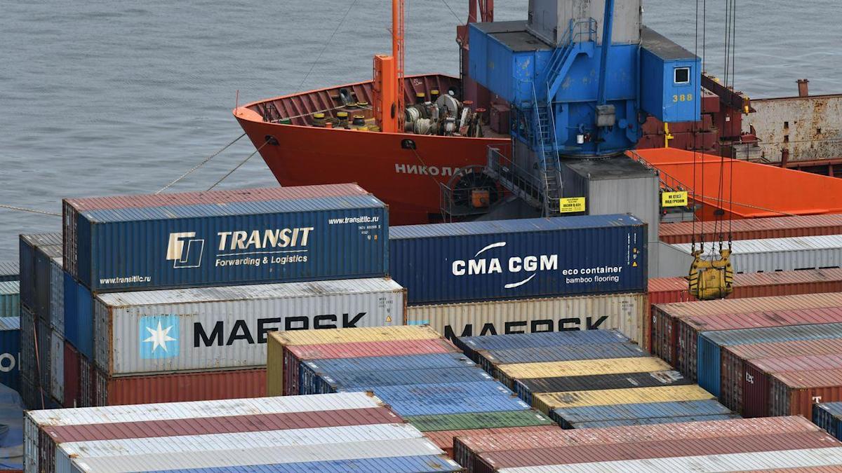 Top shipping companies suspend transports to Russia