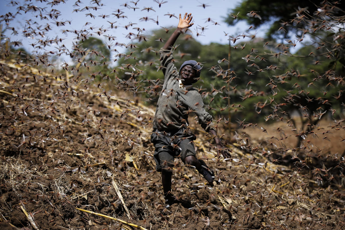 UN: Africa, already suffering from warming, will see worse