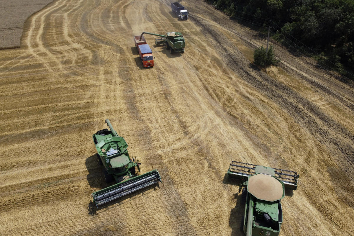 UN: War in Ukraine to hurt poor nations importing grain