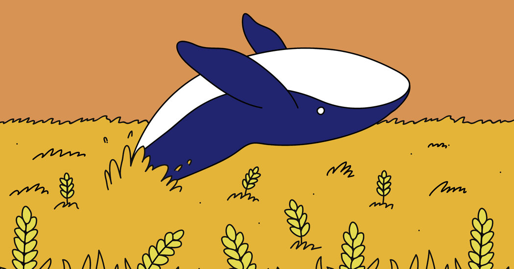 A Market Mystery: The ‘Wheat Whale’ That Came Out of Nowhere