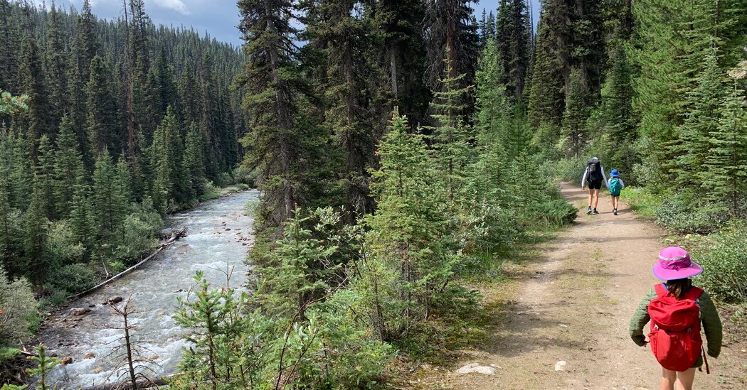 At Shadow Lake Lodge in Canada, Getting There is the Only Hard Part