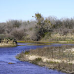 California gives rivers more room to flow to stem flood risk