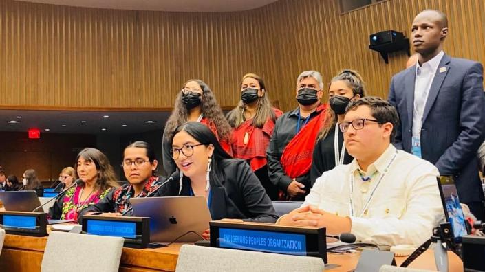 Dispatch from: United Nations Permanent Forum on Indigenous Issues April 25, 2022