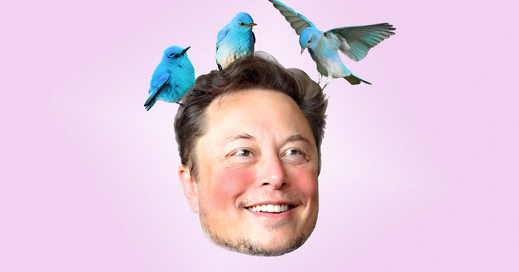 Elon Musk Is a Typical Twitter User, Except for One Thing