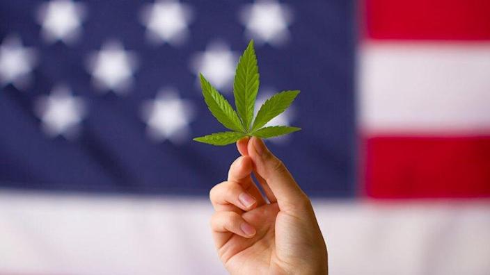 Health Care — House passes marijuana decriminalization