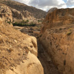 Jordan’s restoration efforts push back on degrading land