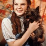 Long-Lost  Wizard of Oz  Dress Worn by Judy Garland Is Up for Auction After Being Found Again