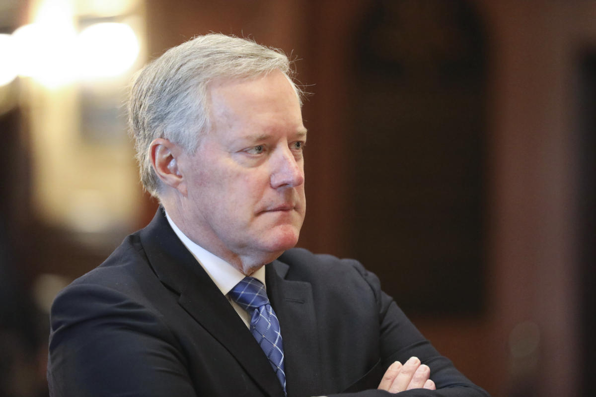 Meadows says 1/6 panel has sought to publicly ‘vilify’ him