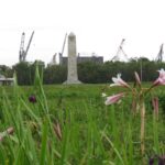 National park battlefield irises may mark razed Black homes