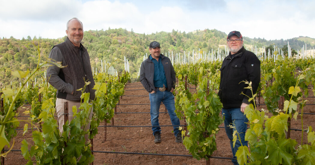 Placing a Bet on Nebbiolo in California