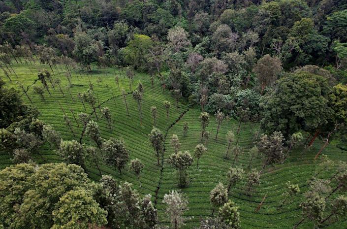 50 years of UN environmental diplomacy: What’s worked and the trends ahead