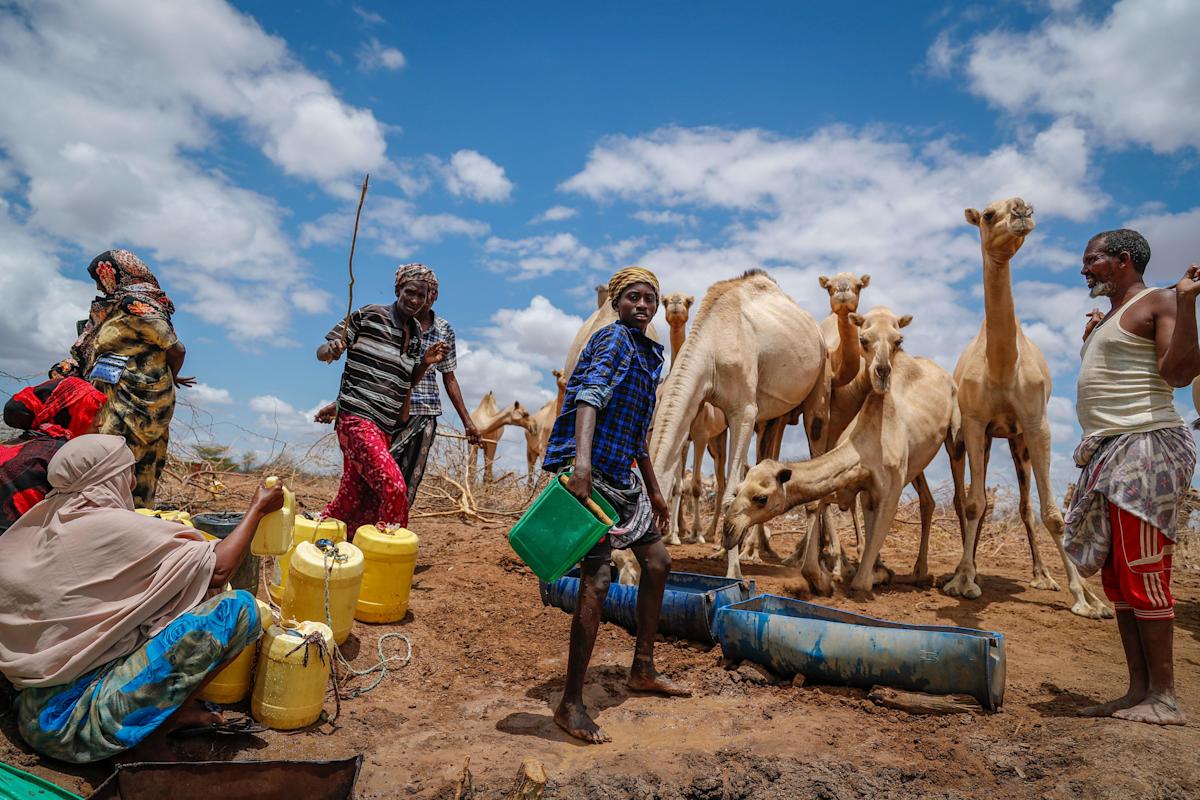 Climate change to make droughts longer, more common, says UN