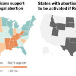 Do Americans Support Abortion Rights? Depends on the State.