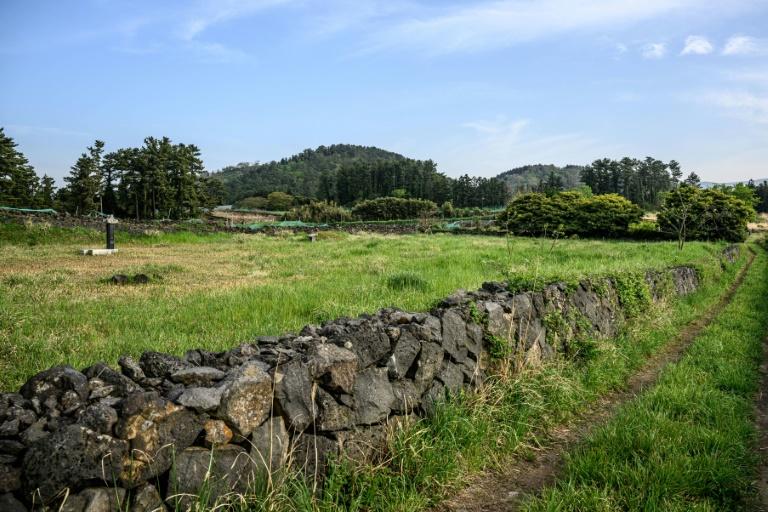 Graveyard sheds light on Kim Jong Un’s South Korean heritage