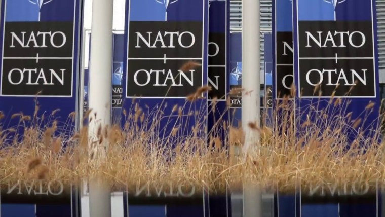 How Putin’s war in Ukraine backfired and fueled NATO’s Nordic expansion