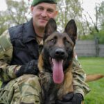 Hungary’s military finds mission in life for abused dog