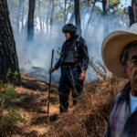 In Mexico, One Cartel Is Cleared, but Others Storm In