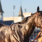 Racing Still Mourns the Ill-Fated Kentucky Derby Winner, Medina Spirit