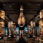 Renovated NYC museum hall showcases Indigenous perspectives