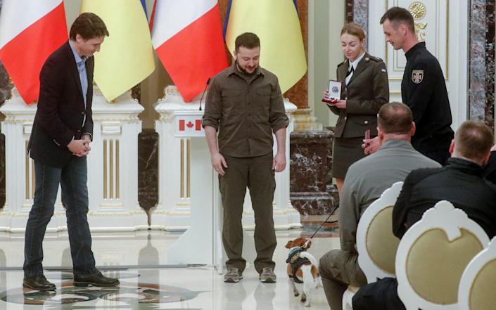 Ukraine morning briefing: Five developments as mine-sniffing dog receives medal from Volodymyr Zelensky