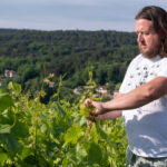 An Underappreciated Burgundy Wine Region Is Upward Bound