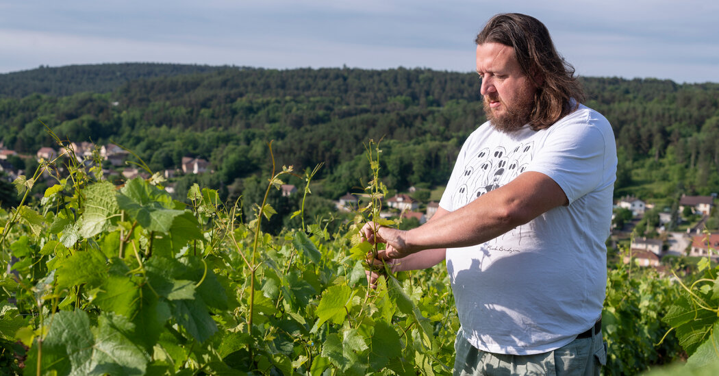 An Underappreciated Burgundy Wine Region Is Upward Bound