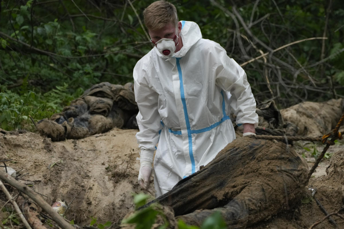 Bucolic Ukraine forest is site of mass grave exhumation