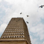 Documenting India’s Distinctive Birdhouses