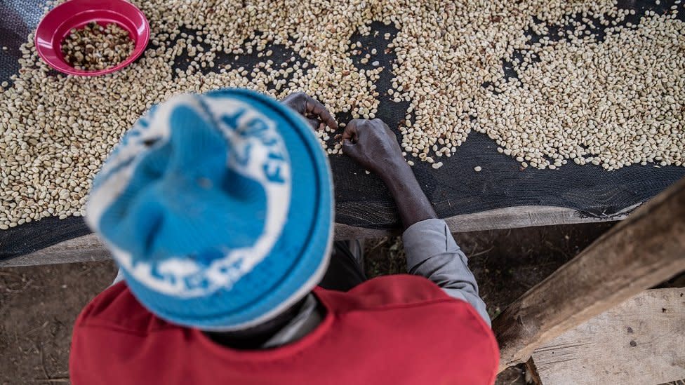 DR Congo: ‘My life has changed thanks to coffee’