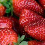 Fresh Strawberries Linked to Hepatitis A Outbreak, F.D.A Says