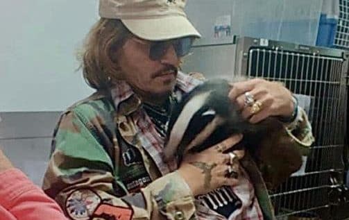 Johnny Depp cuddles badger cub named Freddie Mercury