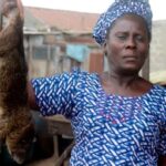 Monkeypox: Nigeria bans bushmeat to prevent virus spread