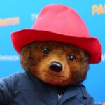 Paddington 3 gets an official title and a new director